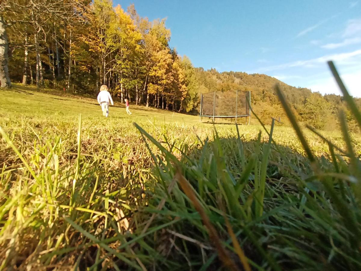 Waldner'S Ferienwohnung Hermagor-Pressegger See Bagian luar foto
