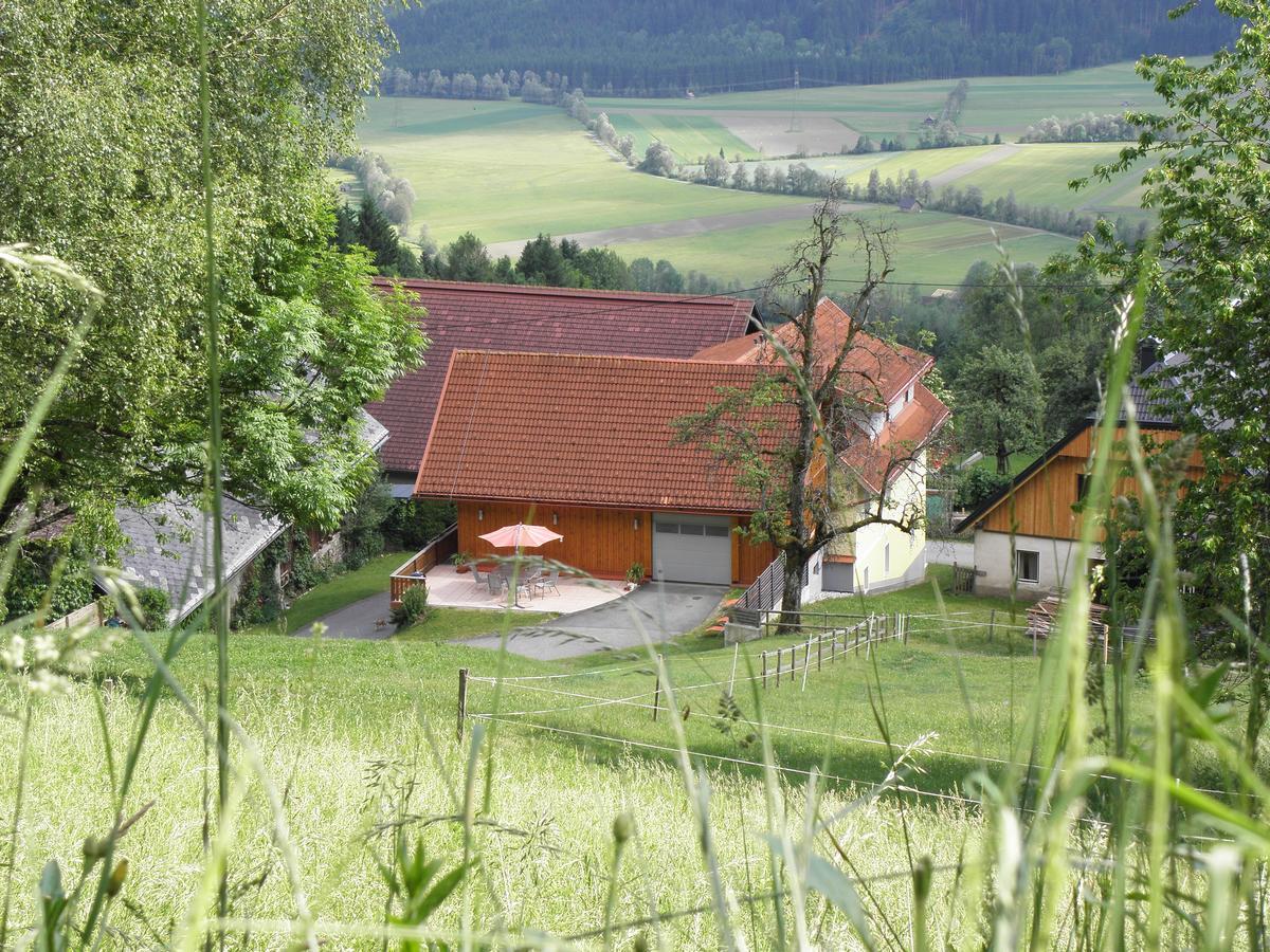 Waldner'S Ferienwohnung Hermagor-Pressegger See Bagian luar foto